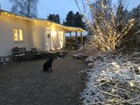 Spacious Villa for Christmas Holiday, close to Copenhagen - B&B Hørsholm