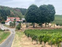 Chez Anidé - B&B Cannet