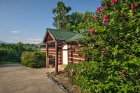 Views, King & Sofa Bed, Hot Tub, Firepit And Deck - B&B Sevierville