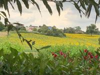 Gite les Combes Bellevue à Etrez, Appartement à la campagne - B&B Étrez