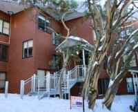Beehive 14 AMS Mt Buller - B&B Mount Buller