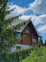 Beloglavi sup - B&B Bukorovac
