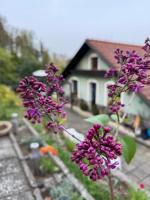 Ubytování na Lesní - Bed and Breakfast Luhačovice