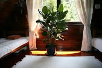 Durmitor Chalet - Ferienwohnung Žabljak