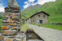 Residence Adamello - B&B Tonale