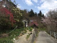 Guesthouse In Lak'ech - Vacation STAY 03558v - B&B Kamiikusaka