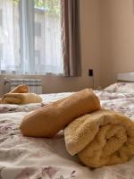 Apartment Hristina - B&B Dobrinishte