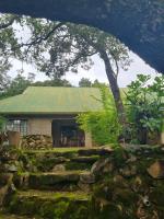 Mackers Bird Hide Self Catering Cottages - B&B Hazyview