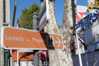 Mill House - Ferienwohnung Ponta do Sol