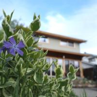 CANOA GUEST HOUSE B room- Vacation STAY 47218v - B&B Ikeda