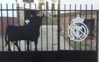 Casa Real - B&B El Arenal