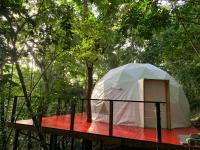 Indómito Domes at El Yunque Zone - B&B Jayuya