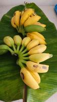 Tulu Famaguon Newly Renovated 2 BR 1BA Entire Apartment Free Wifi, Continental Breakfast, Parking - Chambres d’hôtes Tamuning-Tumon-Harmon Village