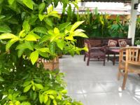 Neo Robiu & Ijen Tour - B&B Banyuwangi