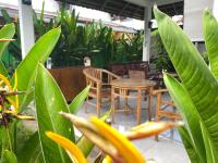Neo Robiu & Ijen Tour - B&B Banyuwangi