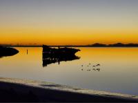 Tranquil Tides - Ferienwohnung Motueka