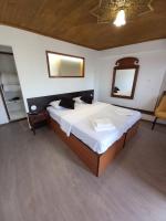 Deluxe Double or Twin Room with City View