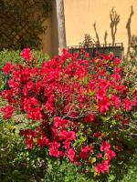 Casa Giorgio - B&B Malnate