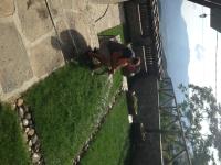 Delchevata Kushta V Leshten - B&B Leshten