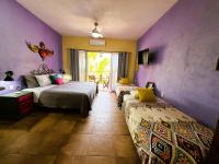 Studio avec Vue sur Jardin