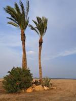 Casa Caprese - B&B Vera