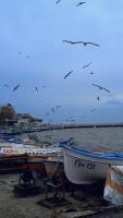 POMORIE direkt am Meer - B&B Pomorie