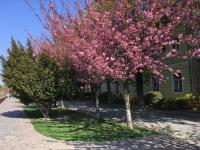 Castle Residence - B&B Budapest