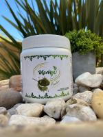 Wellness Guesthouse - Ferienwohnung Krugersdorp