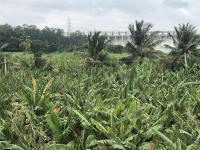 HimaViswa Farmstay - Bed and Breakfast Hosapete