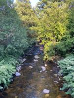 Le souffle des sapins - Ferienwohnung La Bresse