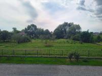 Noclegi u Wilka - B&B Chorzelów