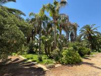 Nonna Maria - Ferienwohnung Copertino