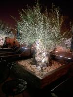 V&G palma di montechiaro - B&B Palma di Montechiaro