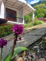 New Forest Glen Nest - Ferienwohnung Ella Town