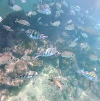 Porto Real Resort - B&B Mangaratiba