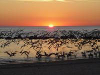 Large Waterfront canal home W Kayaks and covered boathouse - Ferienwohnung Crystal River