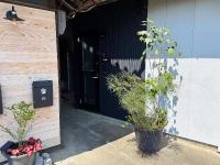 Rino-Haku 01 - B&B Anan