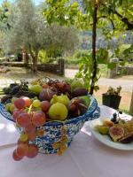 Sailor's Rustic House - Bed and Breakfast Virpazar