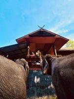 Elephant view terrace chiang mai บ้านระเบียงชมช้าง - Bed and Breakfast Ban Muang Kut