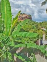 Rithu Homestay - B&B Sigiriya