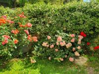 Bliss Corner - B&B Ostia Antica