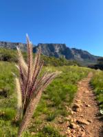 The Mountain Legacy - B&B Cape Town