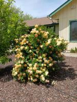 Green Valley, Sonoma County Vacation Rental at a Working Winery - Chambres d'hôtes Sebastopol