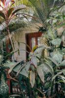 Bocas Condos - Quadruple Apartment - B&B Bocas del Toro