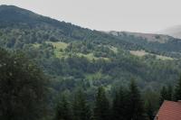 Apartment 204 - B&B Kopaonik