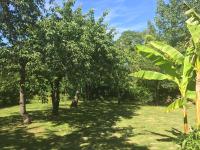 Villa Toulousaine - B&B