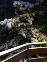 Wood and Fire Chalet - Bed and Breakfast Borno