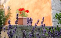 Holiday Home Bale - Valle - B&B Bale