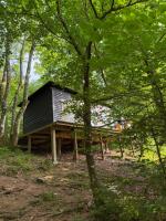 Idylisk primitiv hytte midt i skoven - Chambres d’hôtes Them