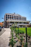 R&M Residence - Bed and Breakfast Pécs